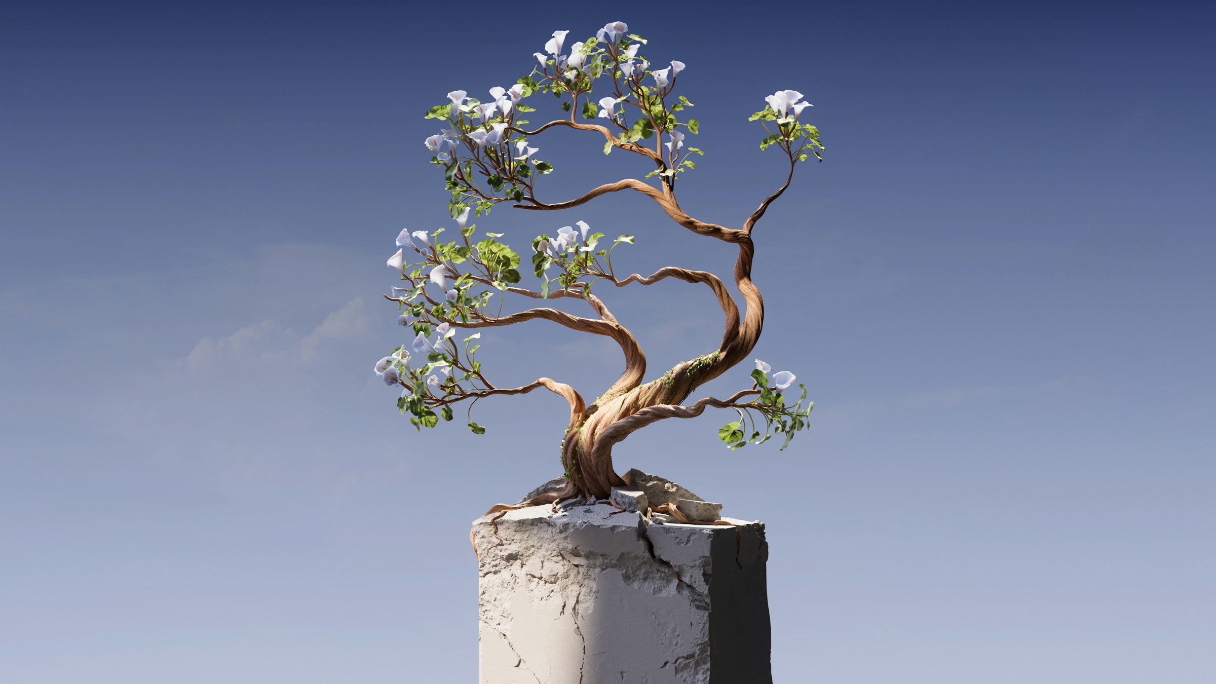 Blühender Baum, der aus einem Stein entspringt