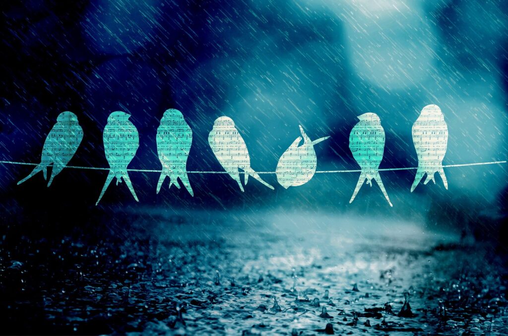 sieben Papiervögel mit Musiknoten beschrieben sitzen auf einer Leine, im Hintergrund regnet es.